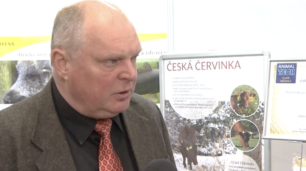 Miliony bez soutěže, zlaté padáky. Odvolaný ředitel chce být znovu šéfem